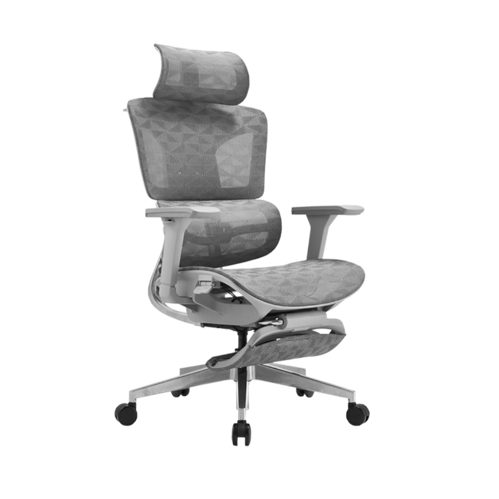 iCraft ErgoCraft Max Ergonomic Gaming Chair With 4D Armrest & Advanced Lumbar support (Grey)