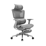 iCraft ErgoCraft Max Ergonomic Gaming Chair With 4D Armrest & Advanced Lumbar support (Grey)