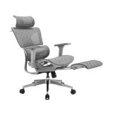 iCraft ErgoCraft Max Ergonomic Gaming Chair With 4D Armrest & Advanced Lumbar support (Grey)