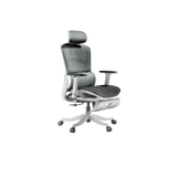 HBADA P2 Pro+ Ergonomic Gaming Chair