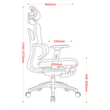 iCraft ErgoCraft Basic Ergonomic Gaming Chair With 2D Headrest & Lumbar support (Black)