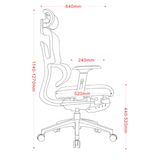 iCraft ErgoCraft Basic Ergonomic Gaming Chair With 2D Headrest & Lumbar support (Grey)