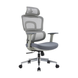 iCraft ErgoCraft Basic Ergonomic Gaming Chair With 2D Headrest & Lumbar support (Grey)