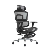 iCraft ErgoCraft Pro Ergonomic Gaming Chair With 4D Armrest & Lumbar support (Black)