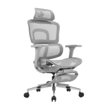 iCraft ErgoCraft Pro Ergonomic Gaming Chair With 4D Armrest & Lumbar support (Grey)