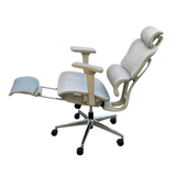 iCraft ErgoCraft Pro Ergonomic Gaming Chair With 4D Armrest & Lumbar support (Grey)