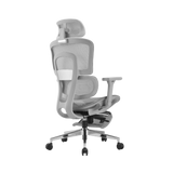 iCraft ErgoCraft Pro Ergonomic Gaming Chair With 4D Armrest & Lumbar support (Grey)
